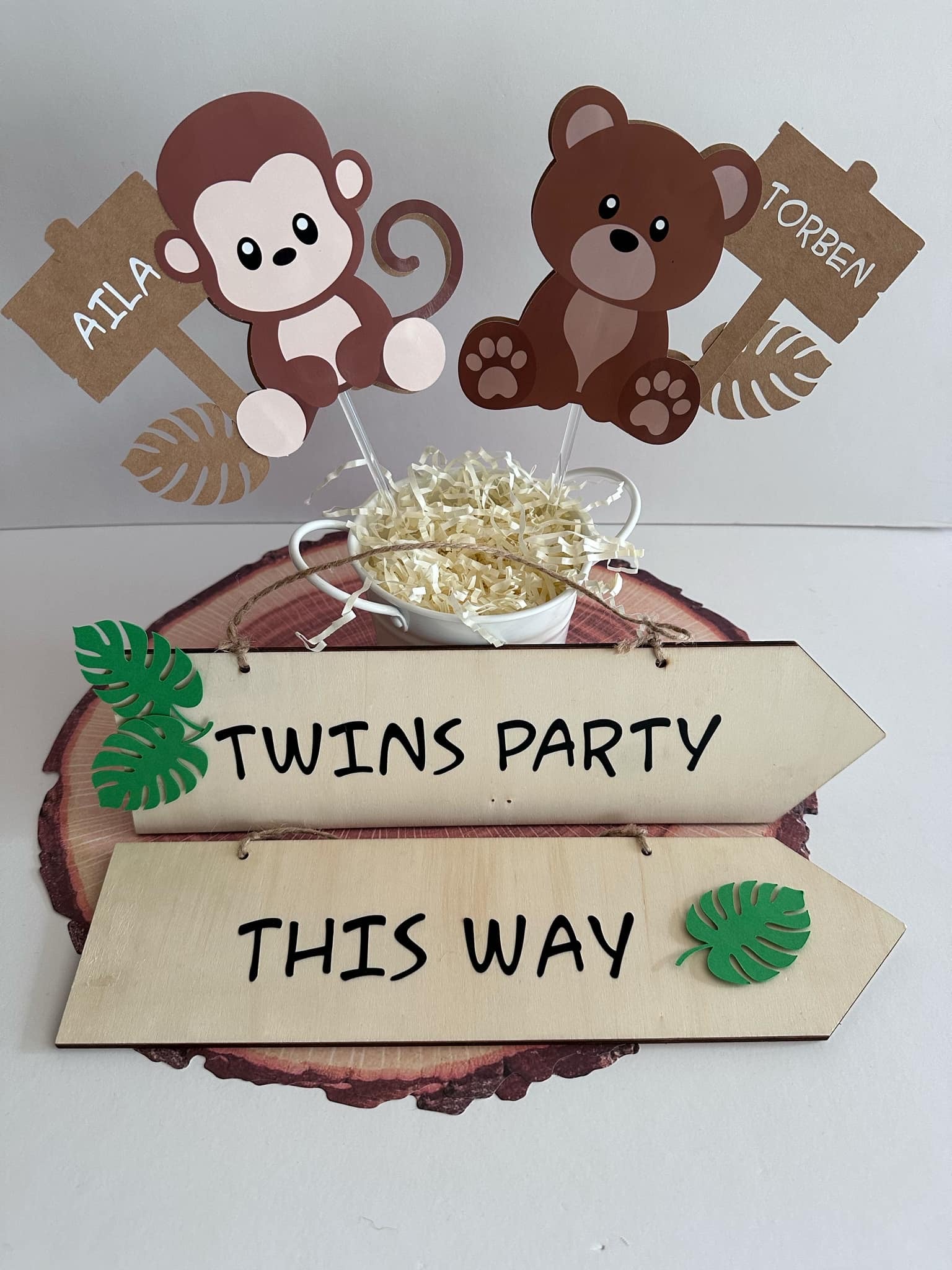 First birthday party jungle or safari theme Wellington party supplies