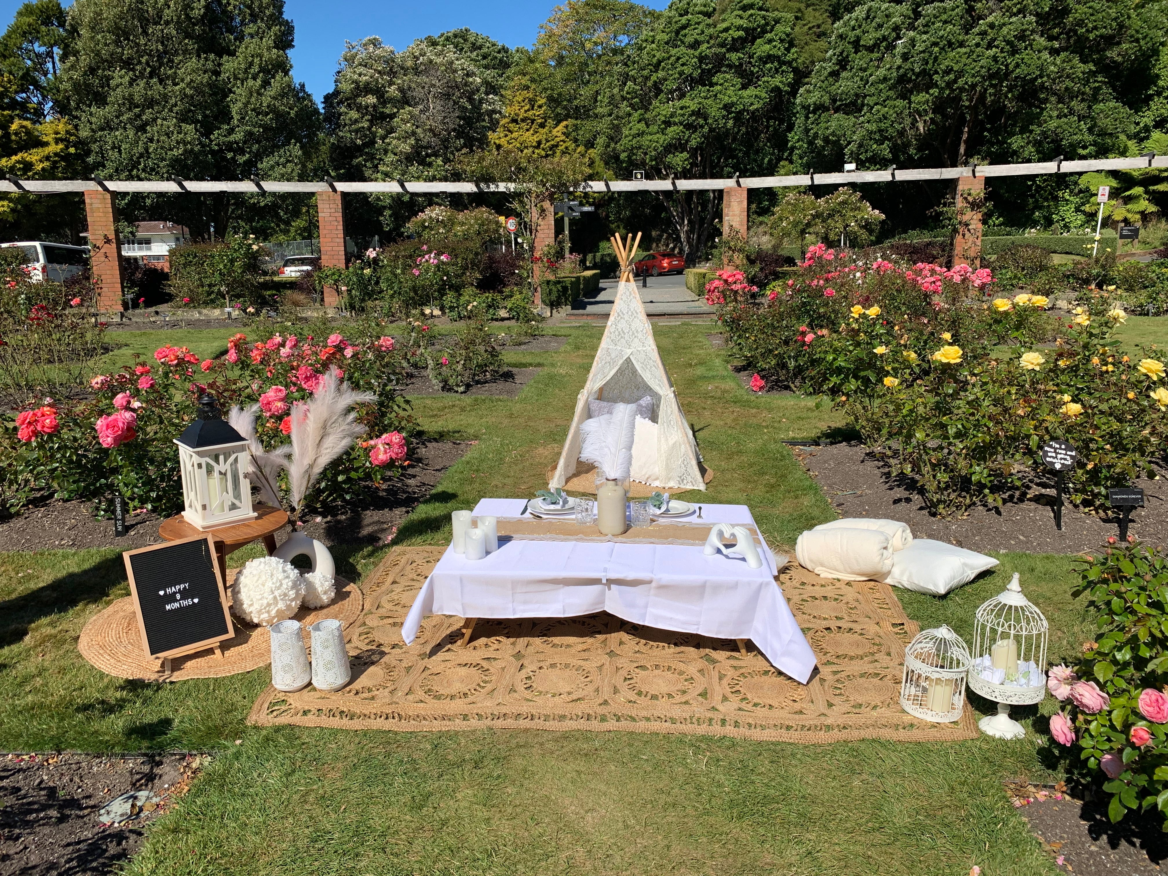 Anniversary themed picnic setup Wellington