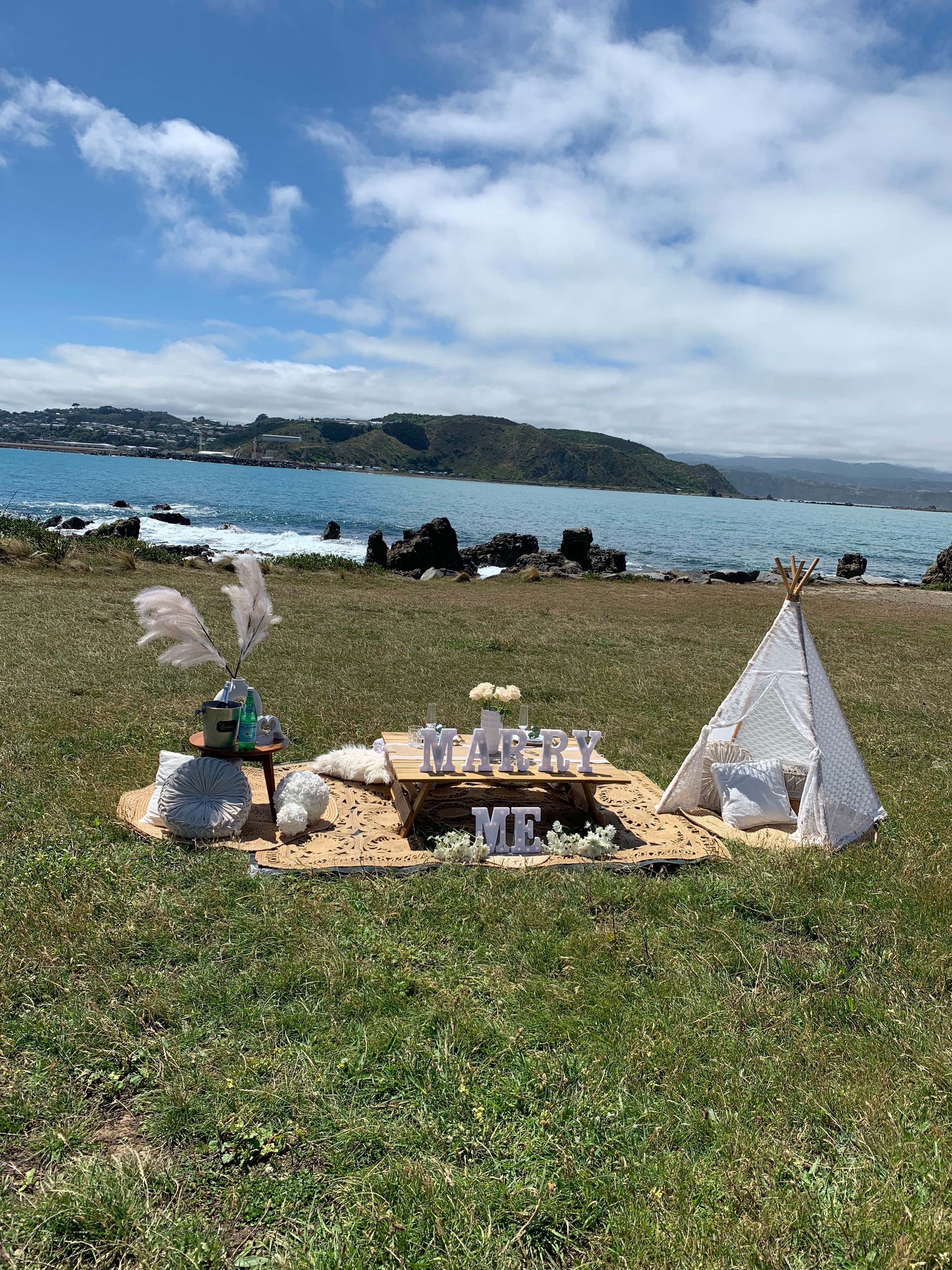 Engagement picnic hire proposal idea Wellington