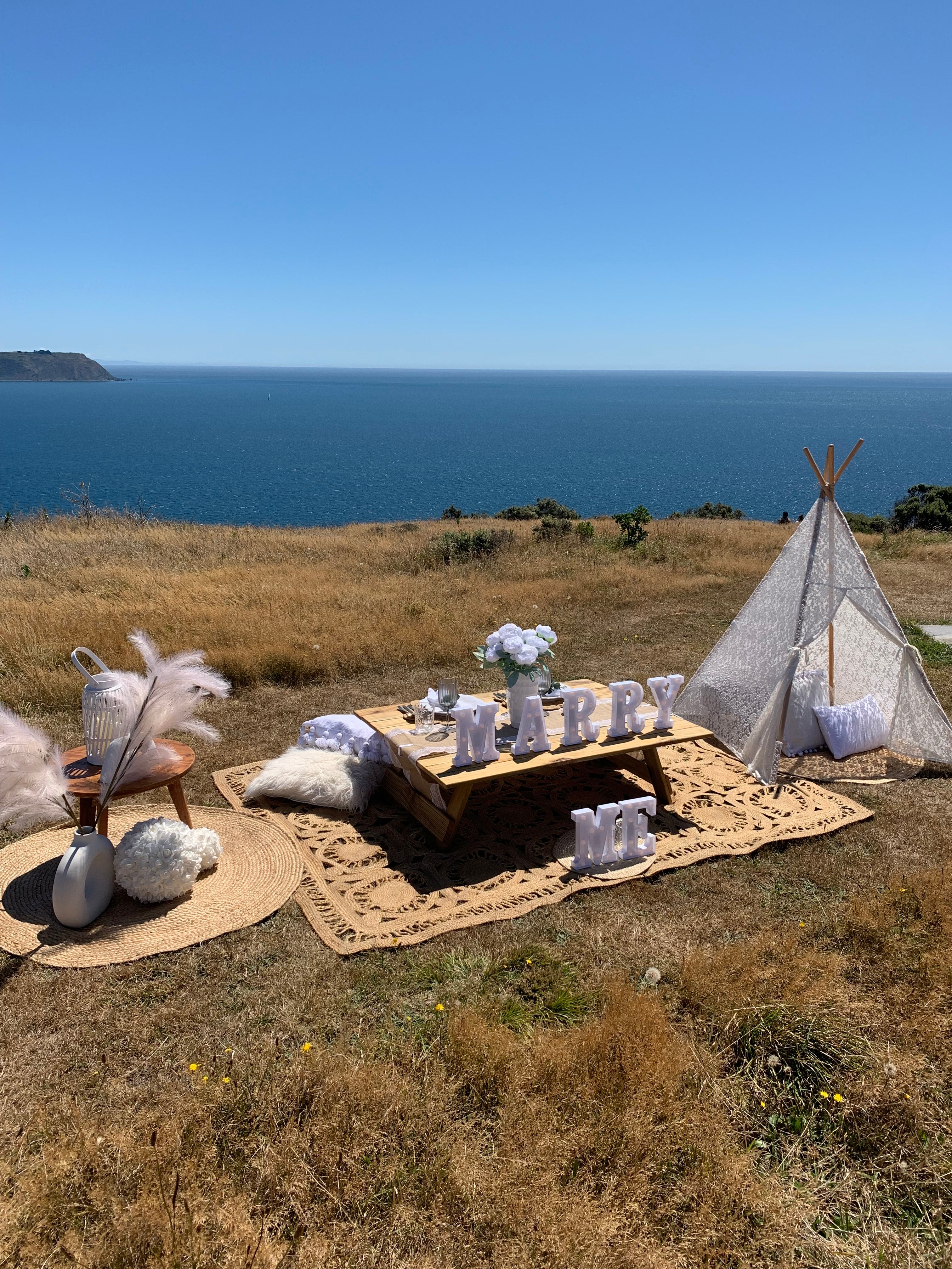 Proposal picnic luxury setup Wellington