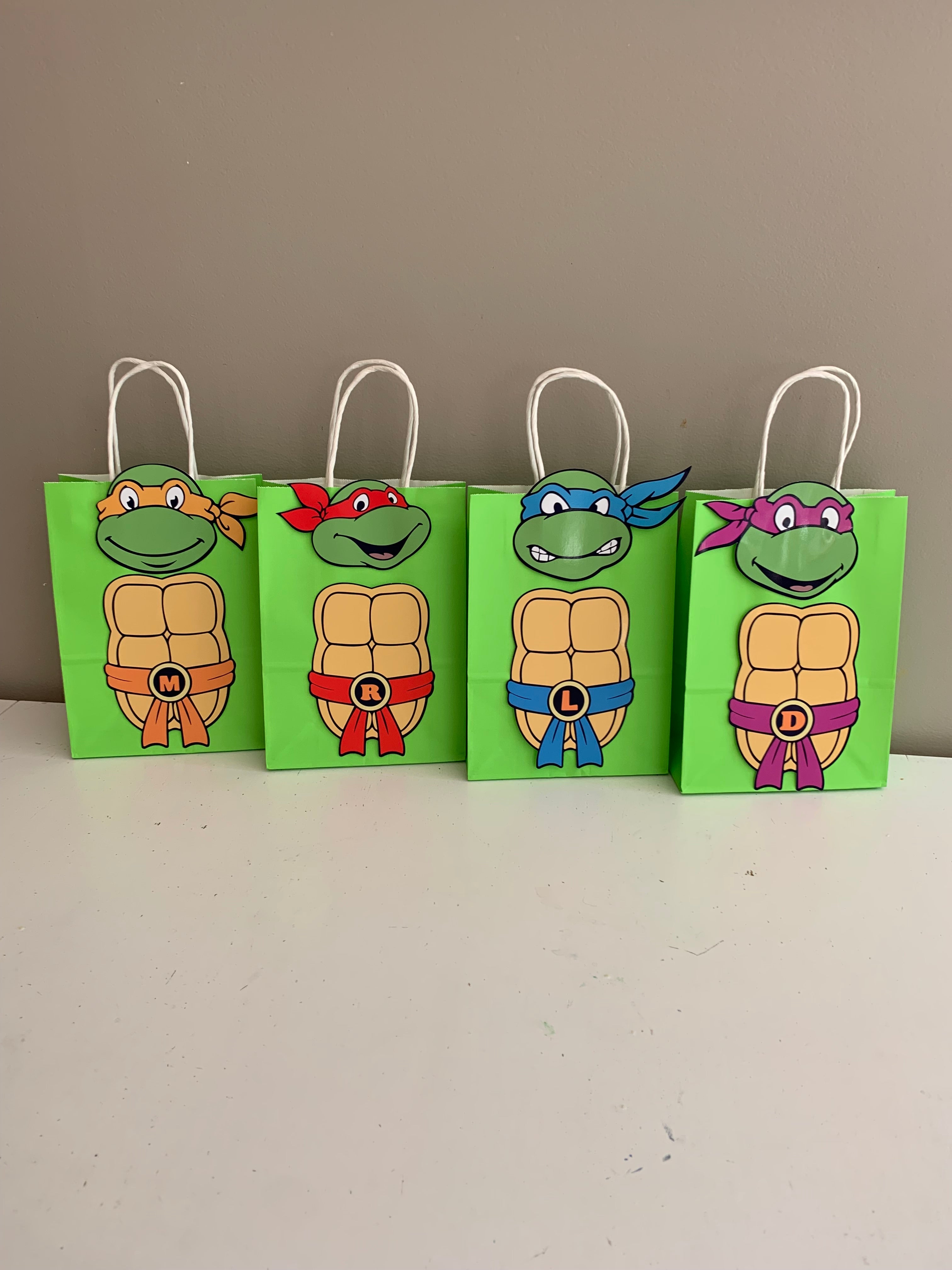 Teenage Mutant Ninja Turtle kids party bags nz