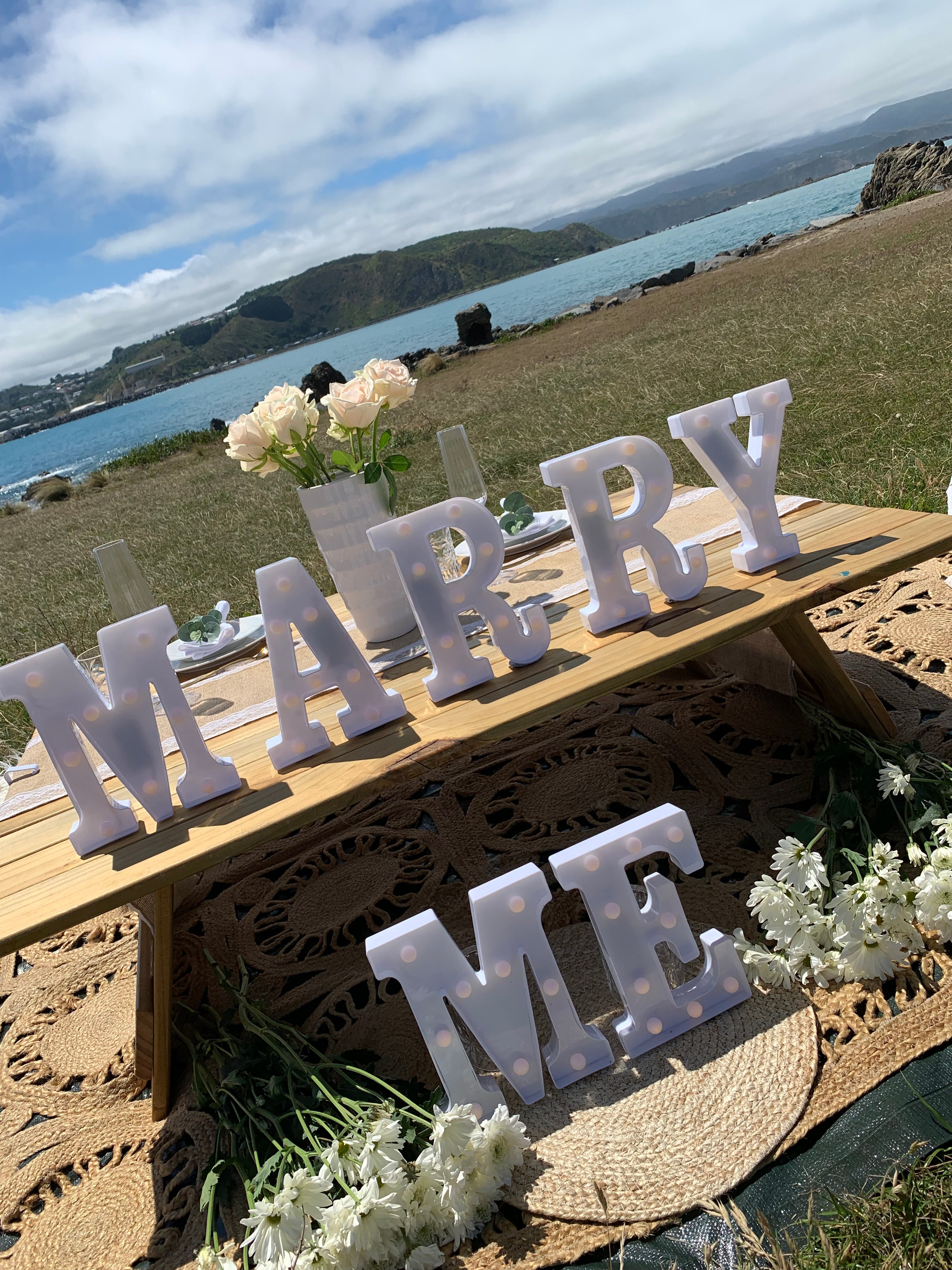 Proposal engagement picnic setup Wellington