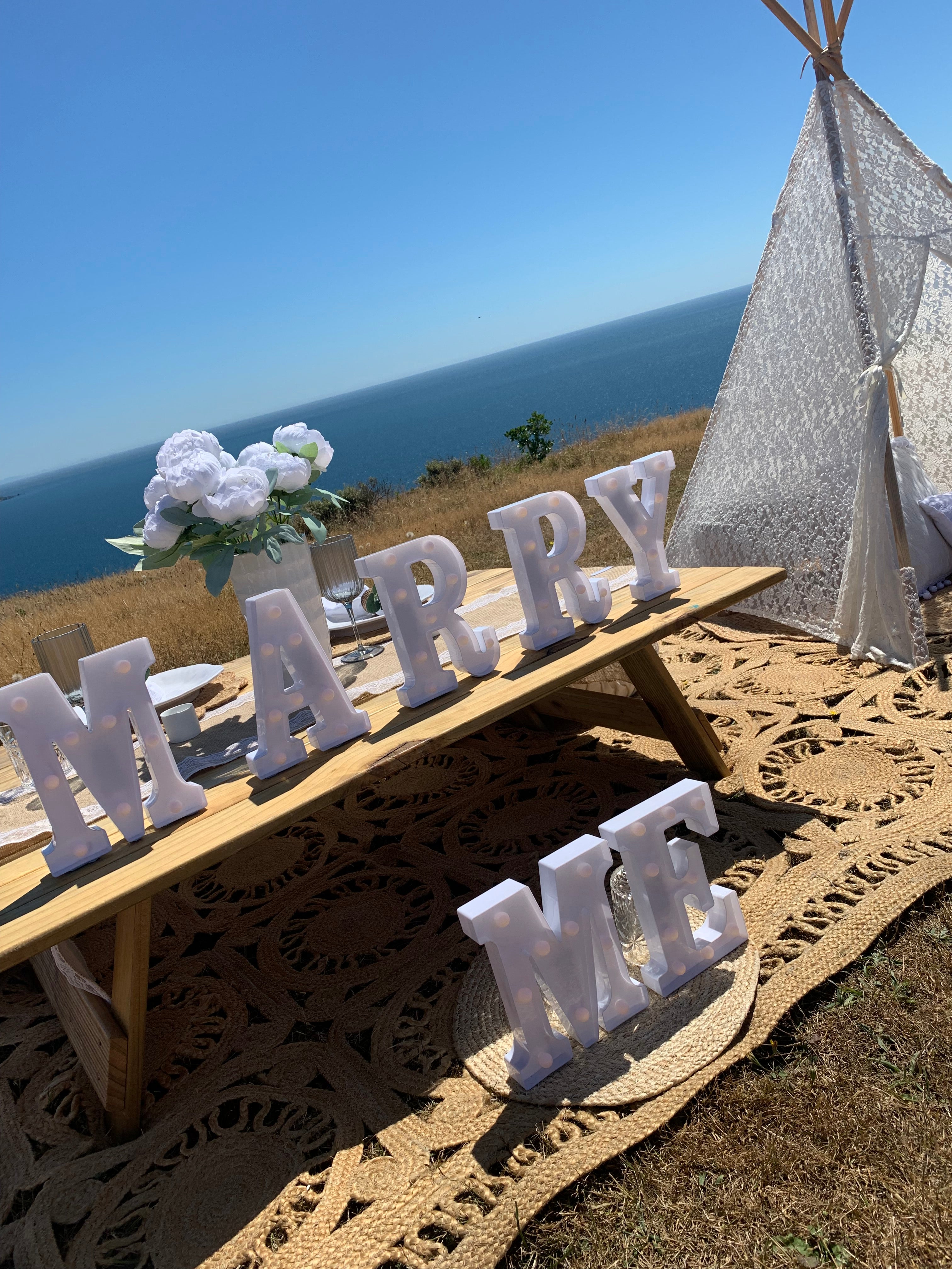 Gorgeous proposal picnic Wellington event company