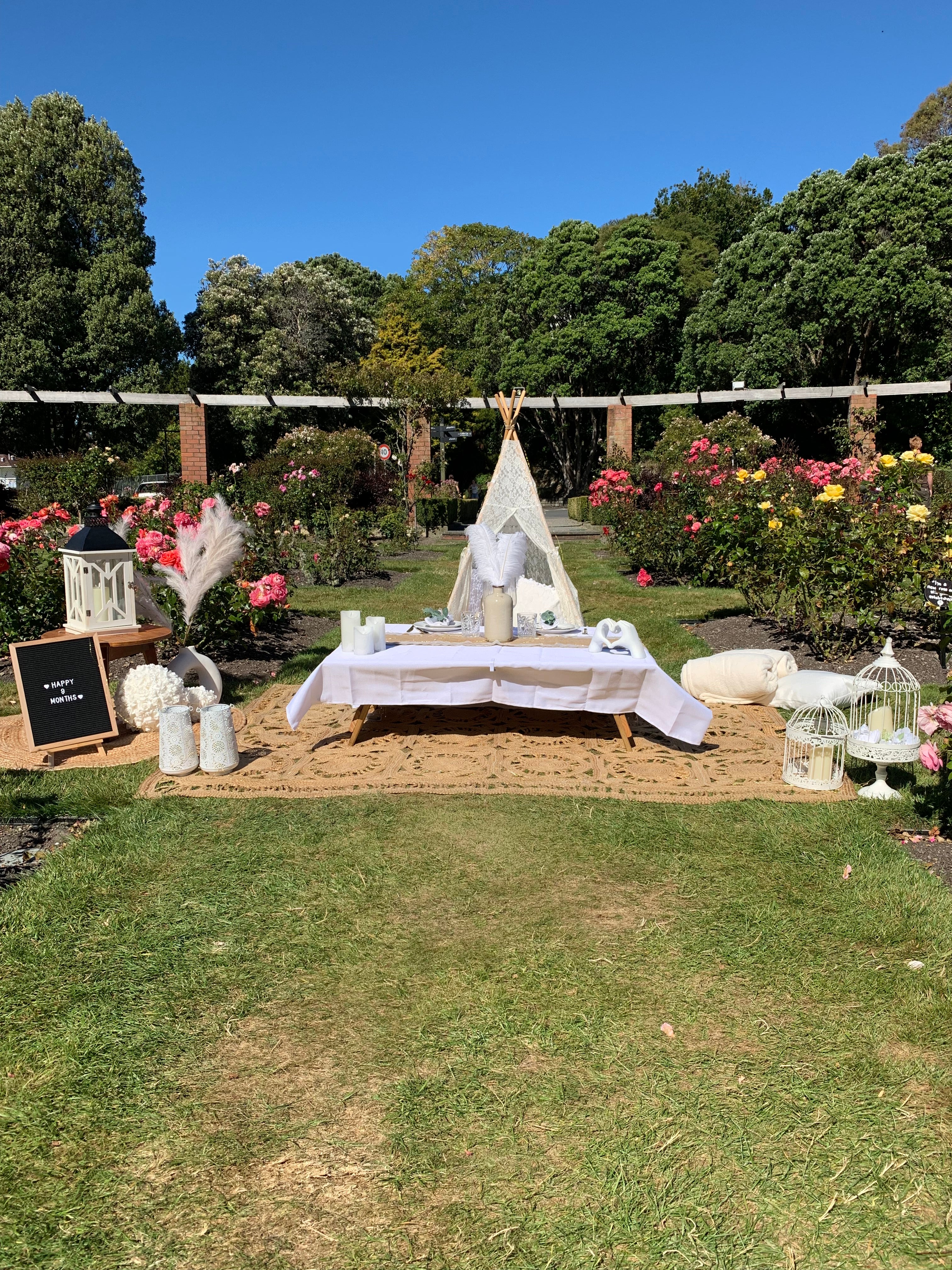 Luxury boutique pretty picnic setup Wellington hire