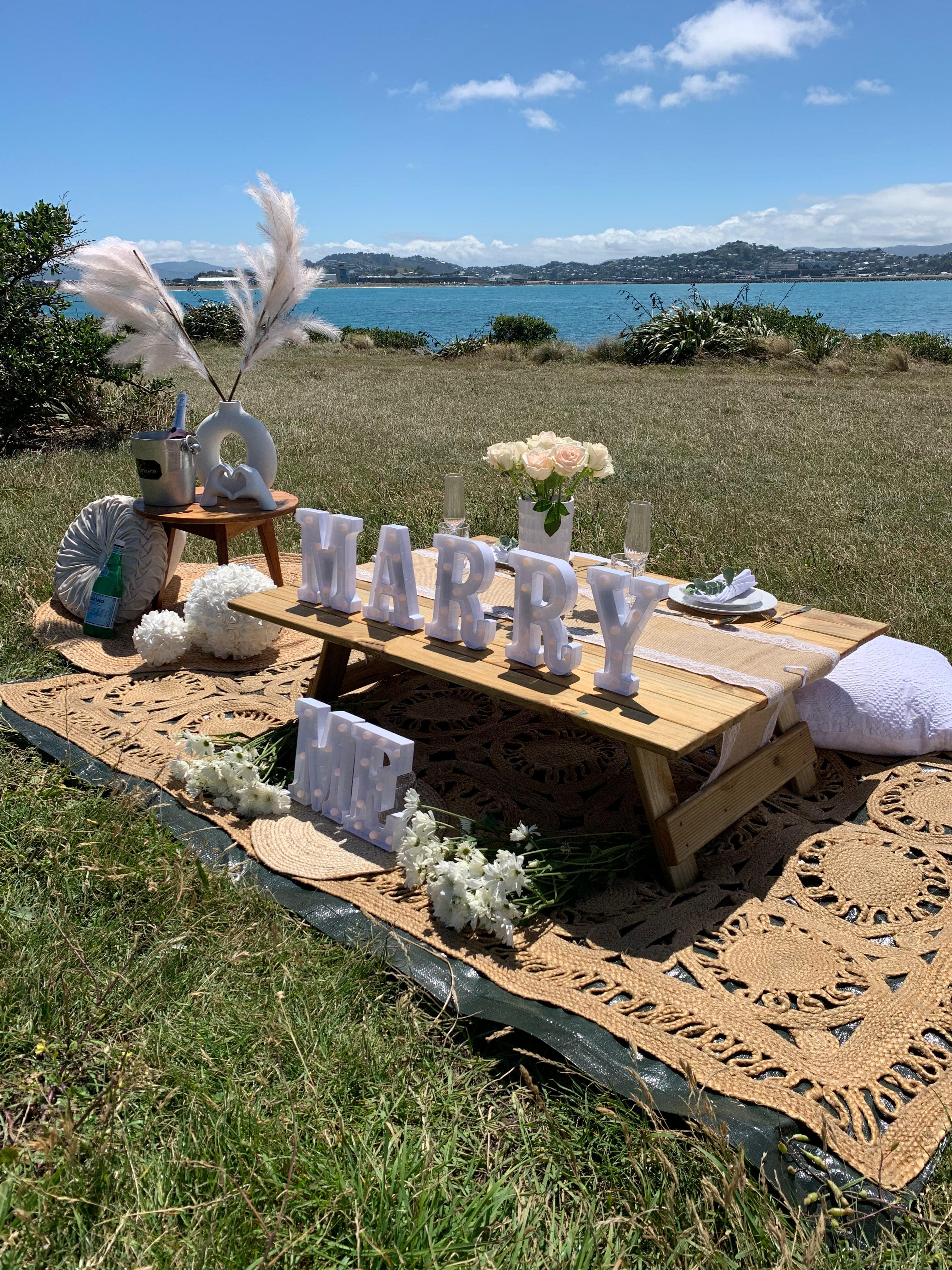 Proposal engagement picnic setup Wellington